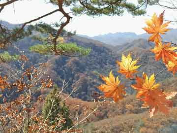 澳門一肖一碼100準(zhǔn)免費(fèi)資料,綜合計(jì)劃評(píng)估說(shuō)明_V63.437