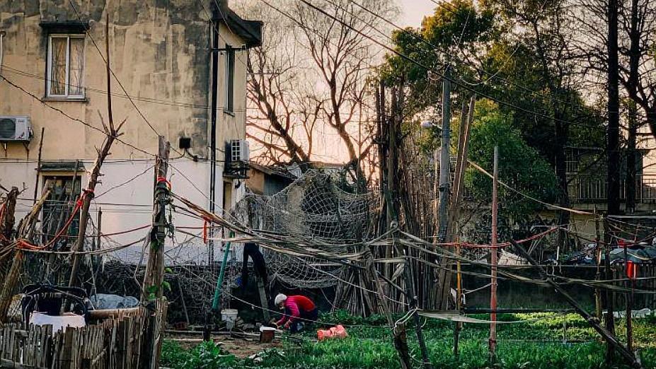 上海最新拆遷動(dòng)態(tài)，變化中的城市面貌與居民生活，上海拆遷最新動(dòng)態(tài)，城市面貌與居民生活的變遷