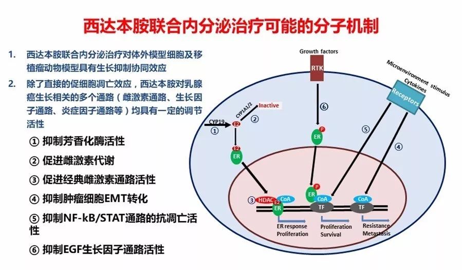 西達本胺最新消息，研發(fā)進展、應(yīng)用前景及市場趨勢分析，西達本胺最新研發(fā)進展、應(yīng)用前景與市場需求分析，最新消息和市場趨勢探討