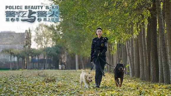 警花與警犬2最新消息，熱血回歸，人與犬的正義新篇章，警花與警犬2熱血回歸，人與犬的正義新篇章最新消息