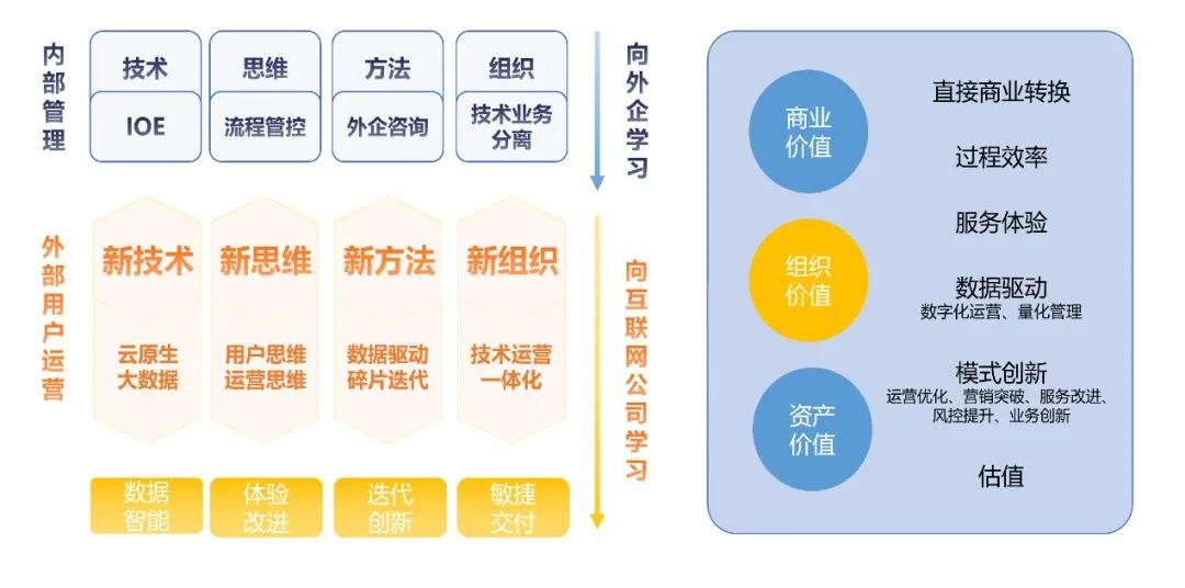 香港免費大全資料大全,全面執(zhí)行數(shù)據(jù)設計_Lite11.187