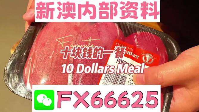 關(guān)于新澳全年免費(fèi)資料大全的警示與探討，新澳全年免費(fèi)資料大全，警示與探討