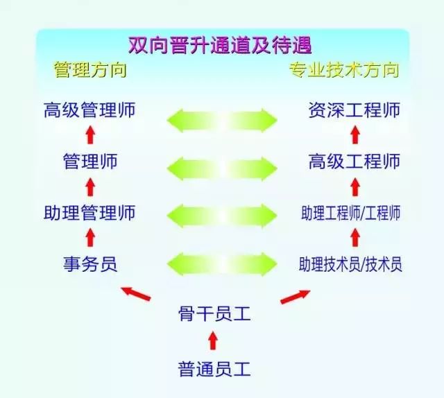 立訊精密最新招聘信息概覽，立訊精密最新招聘信息全面解析