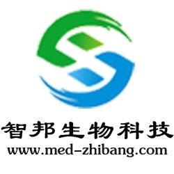 武漢維新智云科技有限公司，引領(lǐng)科技前沿，塑造數(shù)字未來(lái)，武漢維新智云科技，引領(lǐng)數(shù)字未來(lái)，科技前沿領(lǐng)航者