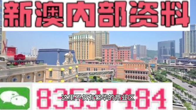 關于新澳新澳門正版資料的探討與警示——一個關于違法犯罪問題的探討，關于新澳新澳門正版資料的探討與警示，揭示違法犯罪風險及應對之道