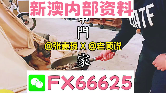 管家婆免費(fèi)資料大全公開，探索與解析，管家婆免費(fèi)資料大全揭秘，探索與解析