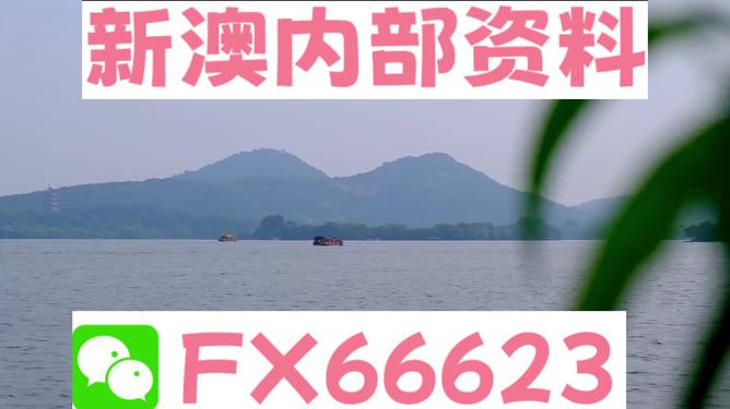 揭秘新澳精準(zhǔn)資料大全背后的真相，警惕違法犯罪風(fēng)險(xiǎn)，揭秘新澳精準(zhǔn)資料背后的真相與犯罪風(fēng)險(xiǎn)警示