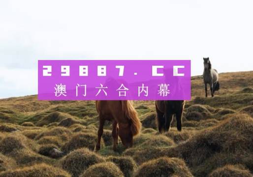 澳門六開獎(jiǎng)結(jié)果查詢——輕松掌握最新開獎(jiǎng)動(dòng)態(tài)，澳門六開獎(jiǎng)結(jié)果查詢，實(shí)時(shí)掌握最新開獎(jiǎng)信息