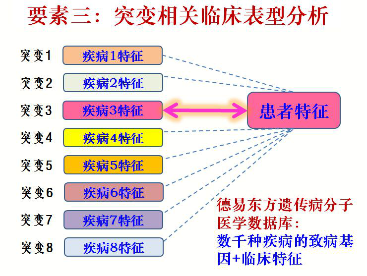 臺塑石化倒閉原因分析，臺塑石化倒閉原因深度解析