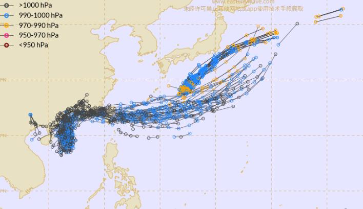 今年二號(hào)臺(tái)風(fēng)最新消息及其影響分析，今年二號(hào)臺(tái)風(fēng)最新動(dòng)態(tài)及其影響深度解析