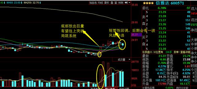 浙大網(wǎng)新為何不漲，深度探究與理性分析，浙大網(wǎng)新股價不漲背后的原因深度探究與理性分析