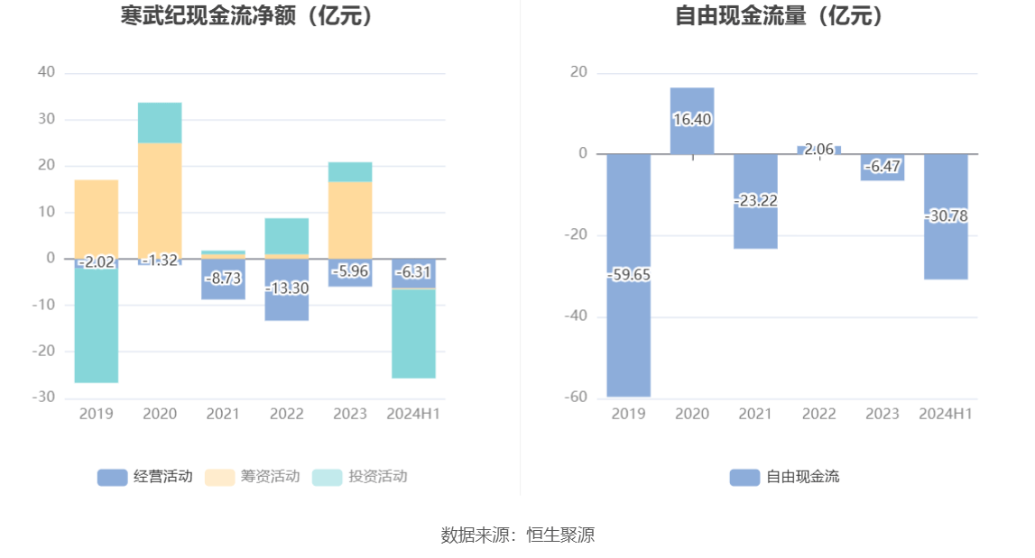 寒武紀(jì)2024年目標(biāo)價的深度解析與展望，寒武紀(jì)2024年目標(biāo)價的深度解析及展望，未來趨勢與市場預(yù)測