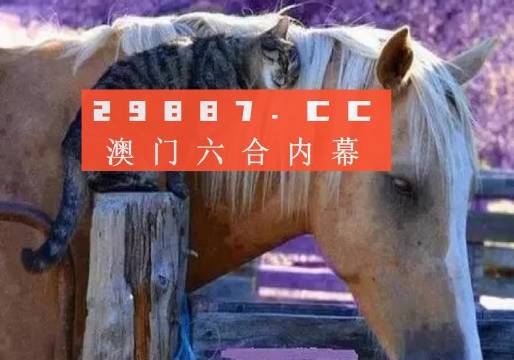 澳門必中一肖一碼四不像——揭開犯罪現(xiàn)象的神秘面紗，澳門犯罪現(xiàn)象揭秘，揭秘必中一肖一碼四不像的神秘面紗