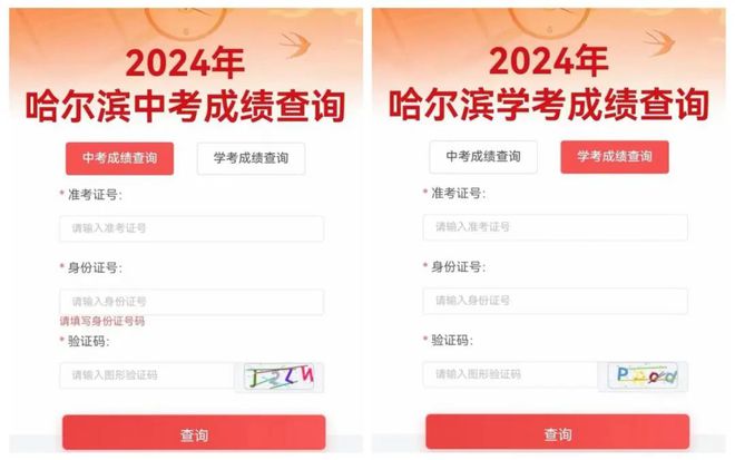 2024新澳最新開獎(jiǎng)結(jié)果查詢——掌握彩票動(dòng)態(tài)的必備指南，掌握彩票動(dòng)態(tài)必備指南，2024新澳最新開獎(jiǎng)結(jié)果查詢