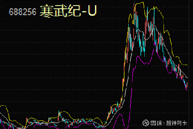 寒武紀(jì)重組最新消息，引領(lǐng)科技變革的新篇章，寒武紀(jì)重組引領(lǐng)科技變革新篇章，最新消息揭秘