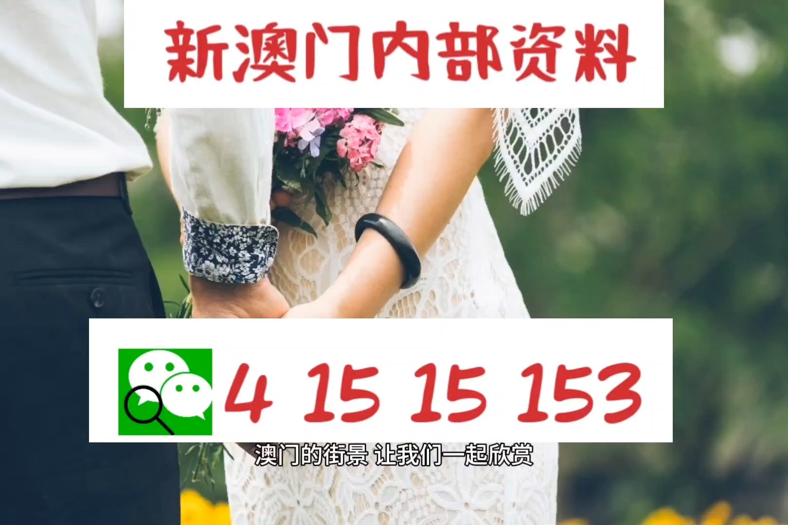 關于新澳新澳門正版資料的探討與警示——警惕違法犯罪問題，關于新澳新澳門正版資料的探討，警惕違法犯罪風險！