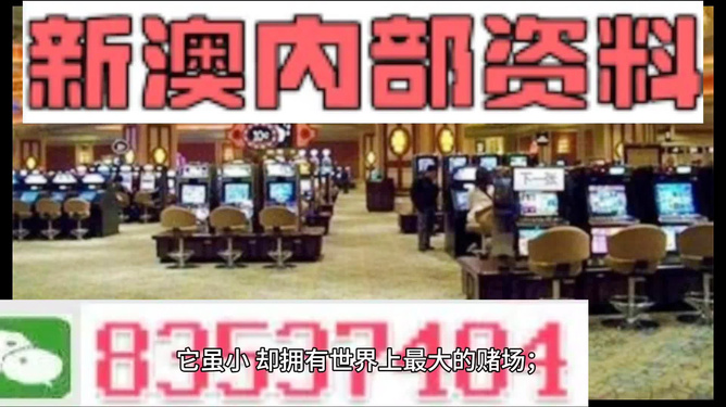 探索2024新澳精準正版資料的價值與重要性，探索2024新澳精準正版資料的重要性與價值