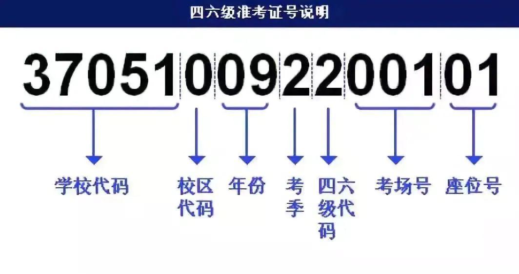 白小姐三肖三必出一期開獎,迅速解答問題_鉆石版49.336