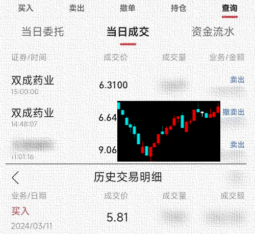 雙成藥業(yè)股票長期持有的價值分析，雙成藥業(yè)股票長期持有的價值深度解析