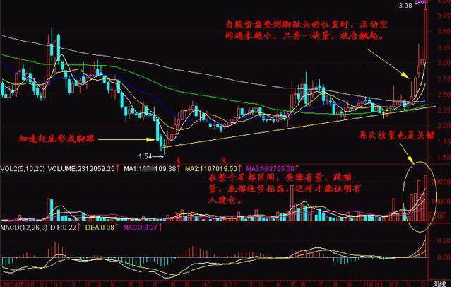 探尋未來之星，2025年有望翻十倍的潛力股票，探尋未來之星，潛力股票展望2025年十倍增長之路