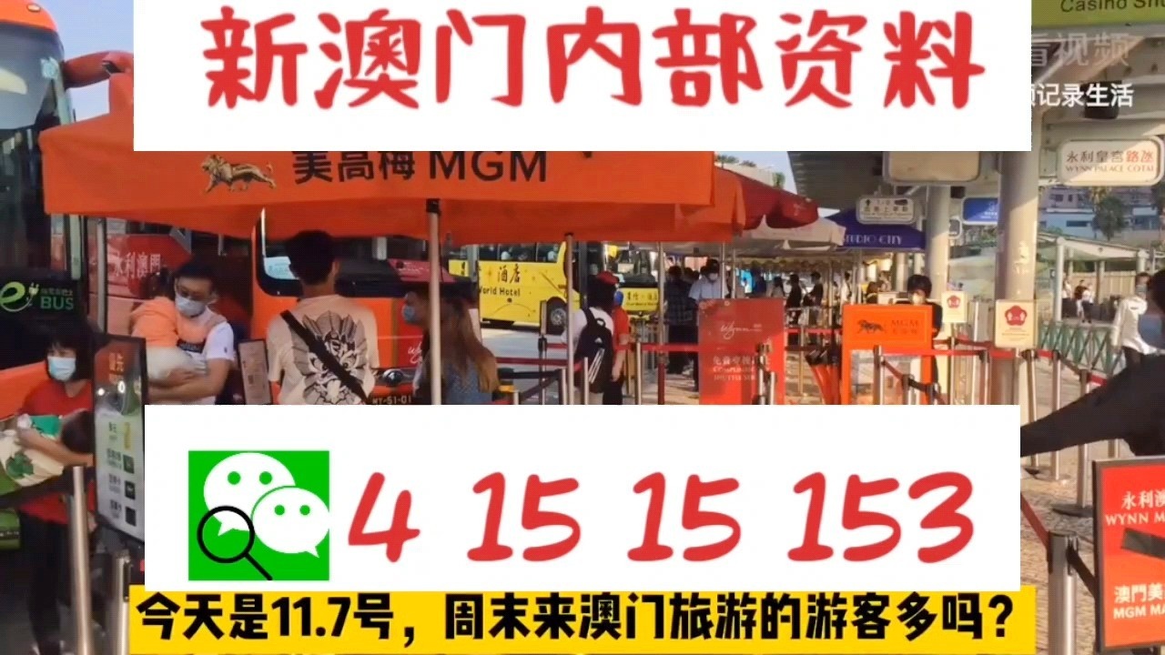 關于新澳門資料大全及家野中特的探討——警惕違法犯罪風險，澳門資料大全及家野中特探討，警惕潛在違法犯罪風險