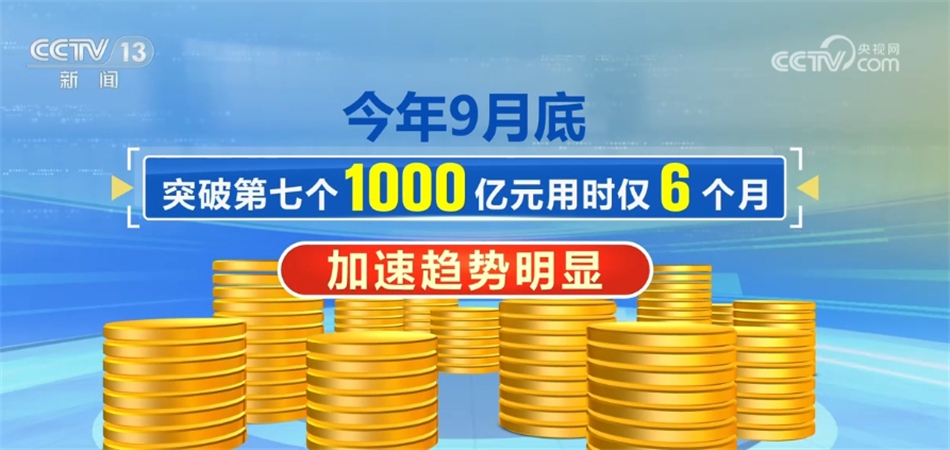 關于新澳2024年精準一肖一碼，一個關于違法犯罪問題的探討，關于新澳2024年精準一肖一碼，違法犯罪問題的探討與警示