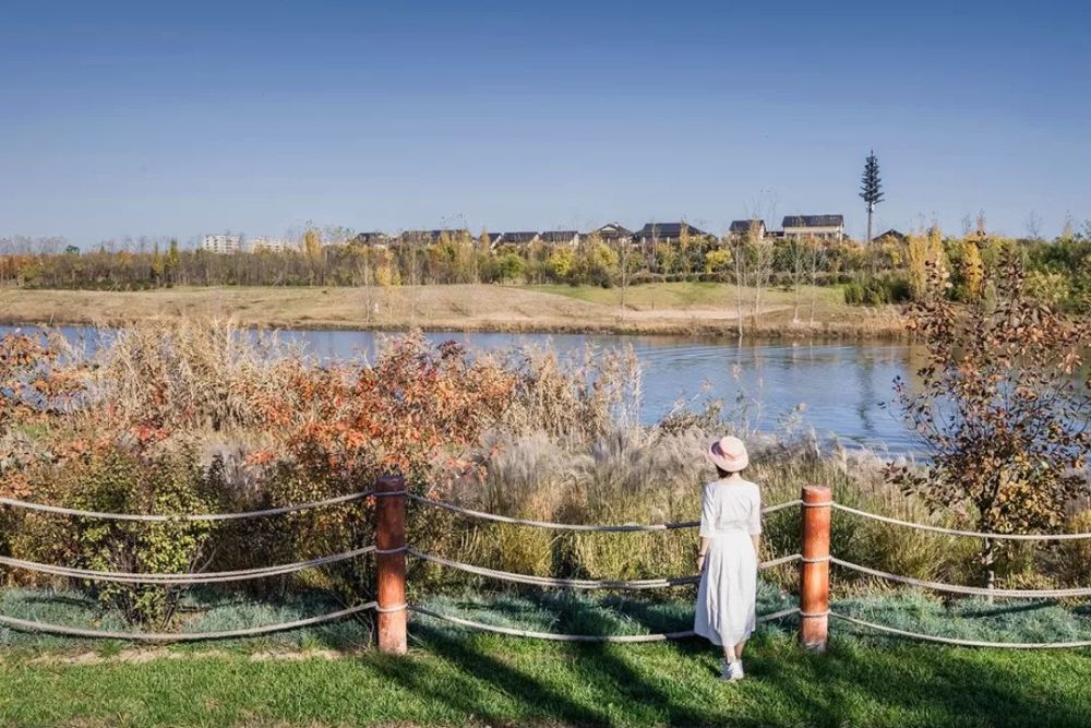 西安最新濕地公園，生態(tài)與文化的完美融合，西安最新濕地公園，生態(tài)與文化的和諧共融