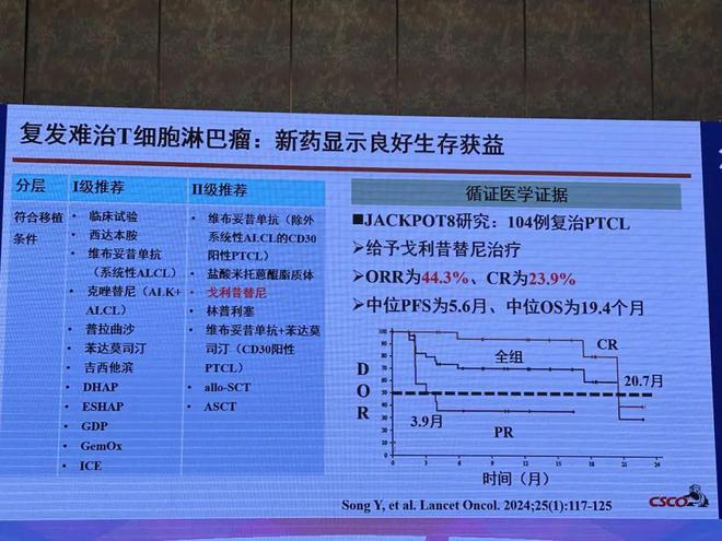 2024年新澳門今晚開獎結(jié)果2024年,綜合研究解釋定義_R版11.337