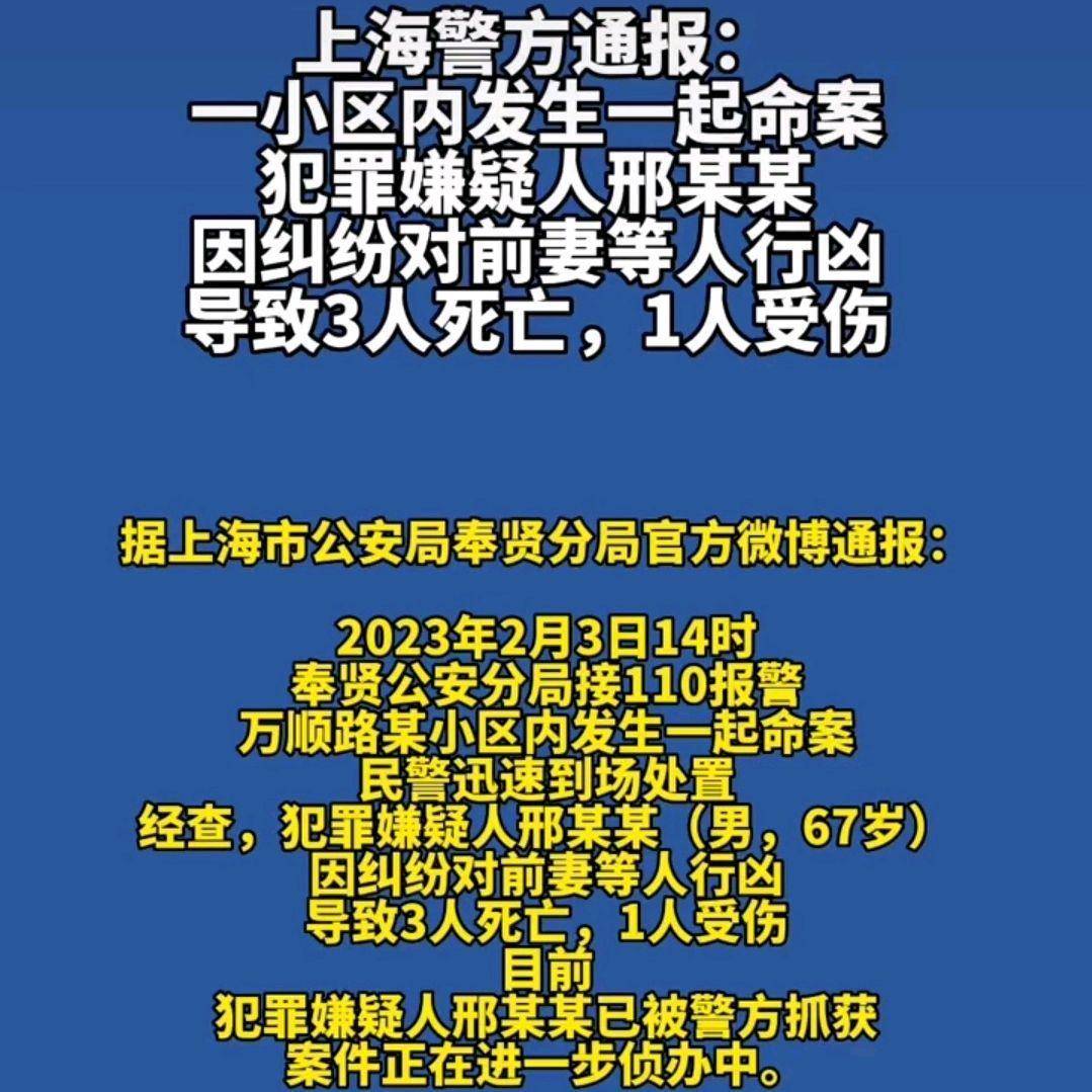 上海某小區(qū)發(fā)生刑案致一死，悲劇背后的警示與反思，上海小區(qū)刑案致一死，悲劇背后的警示與反思