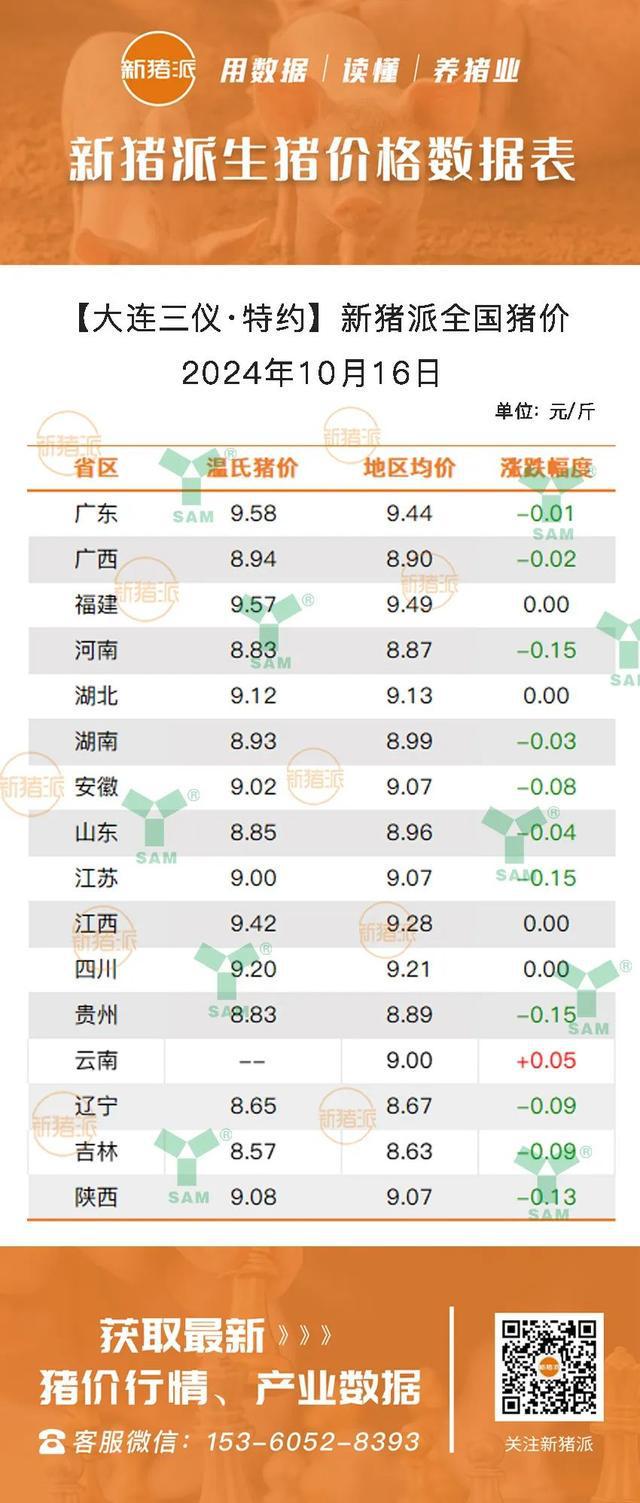 最新仔豬市場行情分析，最新仔豬市場行情深度解析