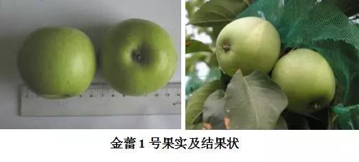 暮色森林 第3頁