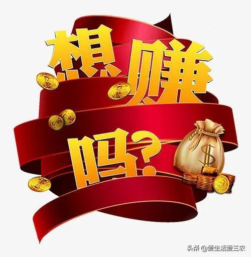 一天賺500，如何實(shí)現(xiàn)你的收入目標(biāo)，一天賺500，實(shí)現(xiàn)你的收入目標(biāo)指南