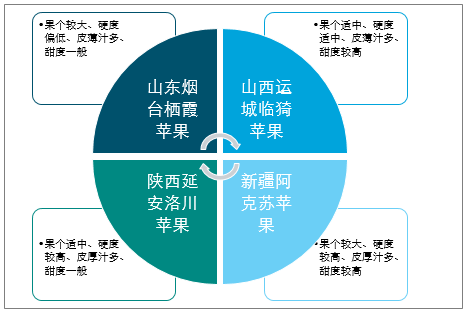 陜西蘋果產(chǎn)業(yè)全產(chǎn)業(yè)鏈深度解析，陜西蘋果產(chǎn)業(yè)全產(chǎn)業(yè)鏈深度探究