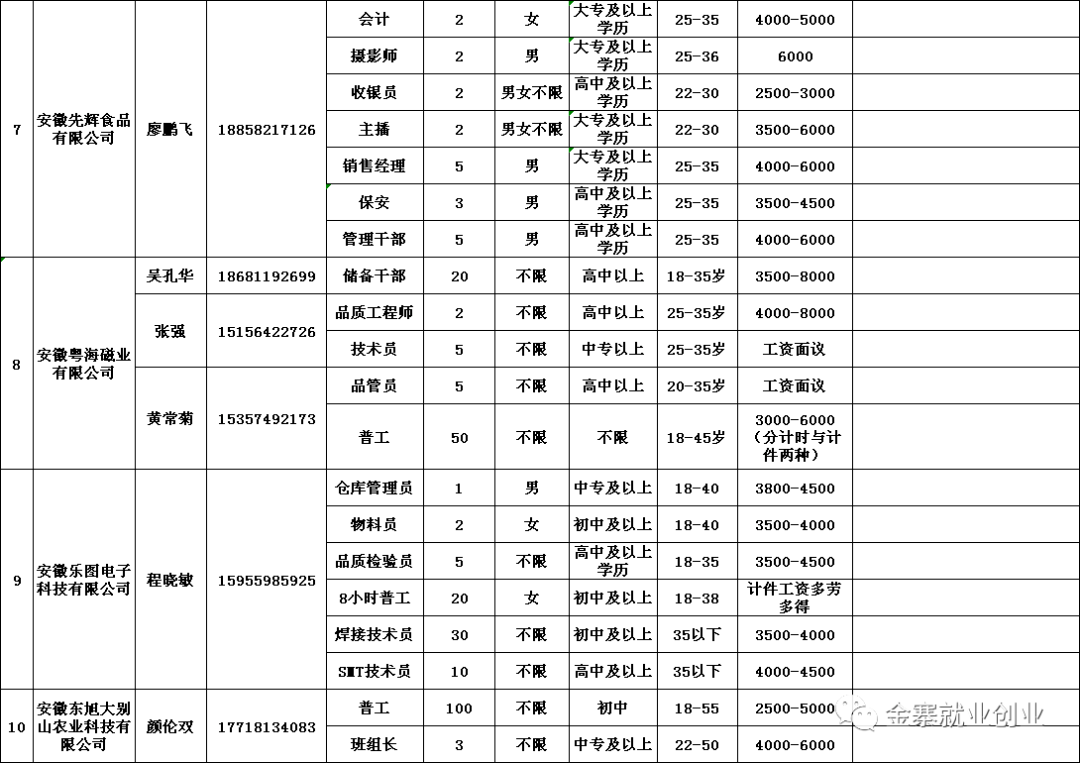 金寨在線最新招聘信息概覽，金寨在線最新招聘信息全面解析