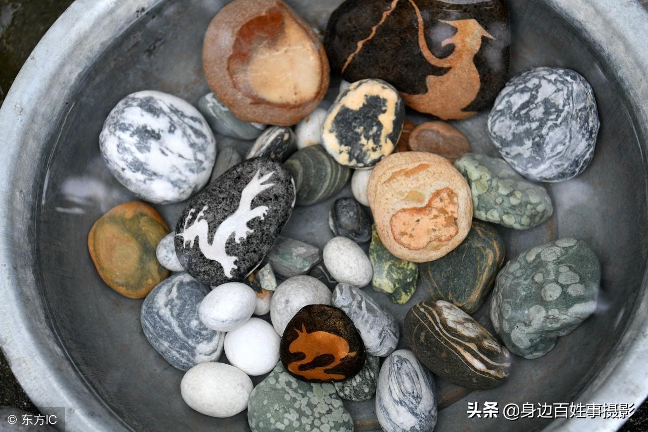 釣魚(yú)與龍的象征意義比較，釣魚(yú)與龍的象征意義比較，文化背景下的深度解讀