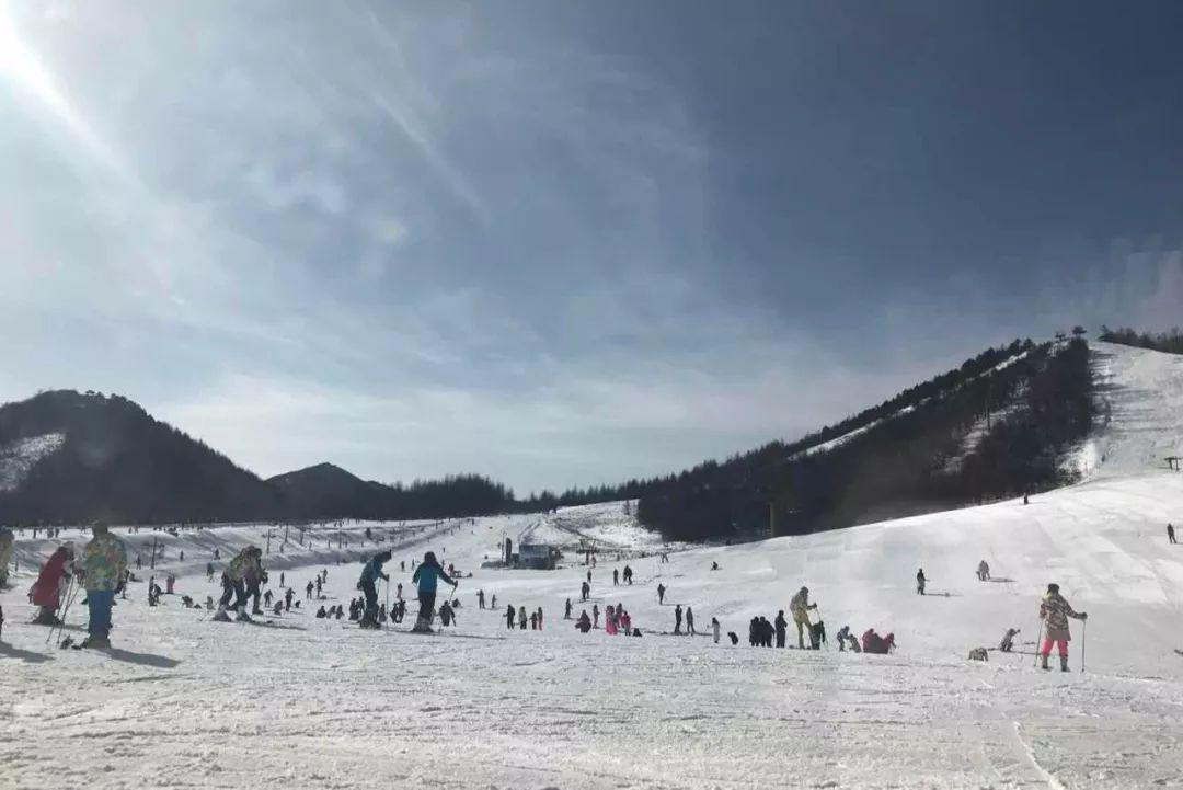 滑雪最好的地方，探索雪域奇境的魅力，探索雪域奇境，滑雪的最佳勝地