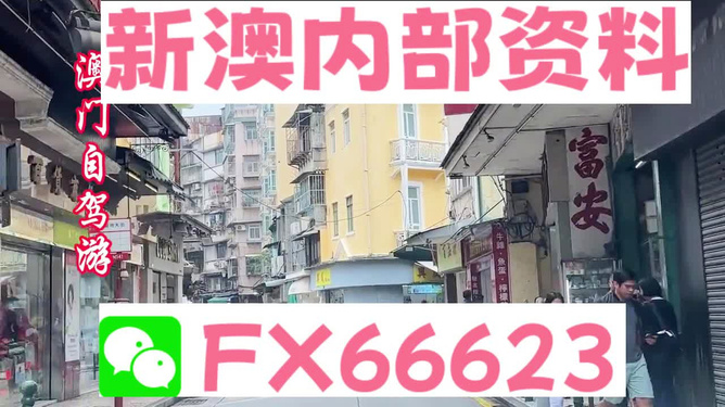 新澳正版資料免費(fèi)提供，助力個(gè)人與企業(yè)的成長(zhǎng)與發(fā)展，新澳正版資料助力成長(zhǎng)與發(fā)展，個(gè)人與企業(yè)的免費(fèi)資源寶庫(kù)