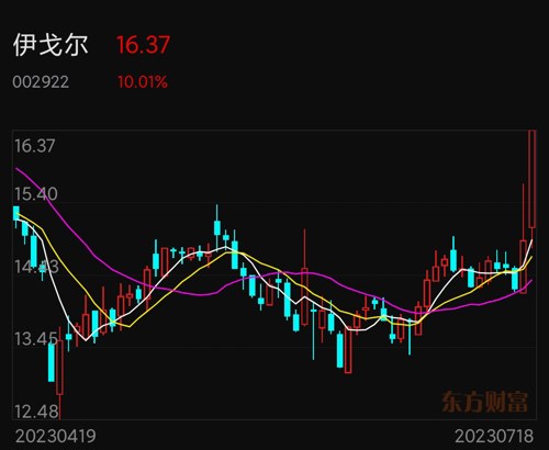 伊戈?duì)柟砂蓶|方財(cái)富，股市新星與投資者的新選擇，伊戈?duì)柟砂蓶|方財(cái)富，股市新星，投資者的新選擇