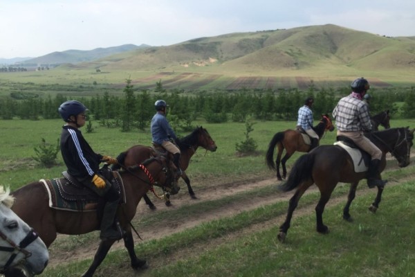 關(guān)于澳門特馬今晚開獎(jiǎng)的討論與警示，澳門特馬今晚開獎(jiǎng)討論及警示