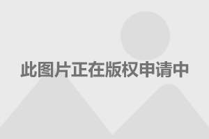 電視劇護心演員表深度解析，電視劇護心演員表深度解析與角色剖析