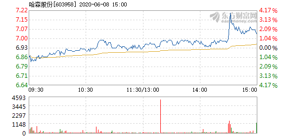 哈森股票最新消息，市場走勢與行業(yè)展望，哈森股票最新動態(tài)，市場走勢及行業(yè)展望分析