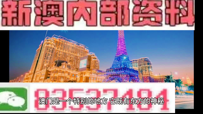 探索澳門特馬的世界，2024年的今晚，澳門特馬世界的探索之旅，2024年今晚之夜