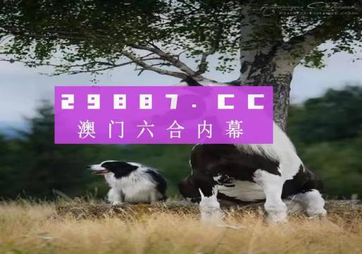 澳門今晚開特馬四不像圖——探索澳門彩票的奧秘，澳門彩票奧秘探索，特馬四不像圖今晚揭曉