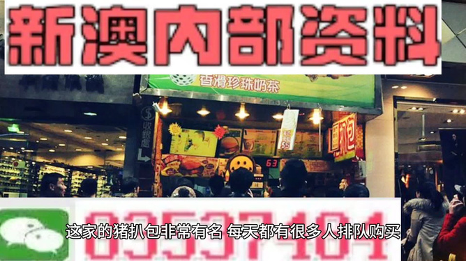 新奧天天精準資料大全，探索與解析，新奧天天精準資料大全，深度探索與全面解析