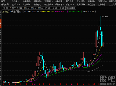 股吧600309，深度解析與前景展望，股吧600309深度解析與未來(lái)前景展望