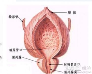 治療前列腺炎的最佳方法，治療前列腺炎的最佳方法解析