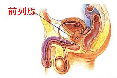 前列腺自我按摩手法圖解，一種有效的自我保健方法，前列腺自我按摩手法圖解，有效保健新方法！