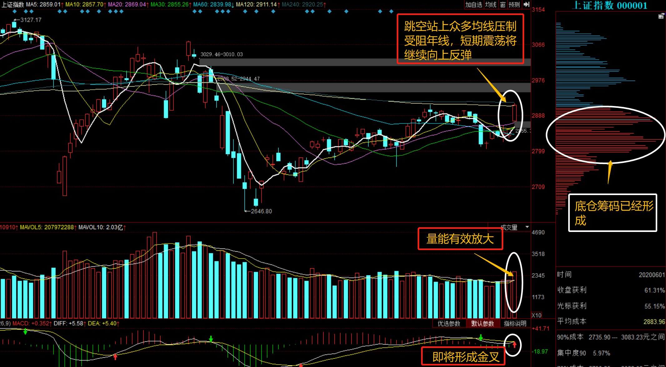 股票行情深度解析，聚焦600736，股票深度解析，聚焦代碼600736的行情動態(tài)