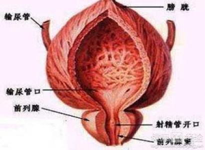 如何按摩男性前列腺，一種健康護理的指南，男性前列腺按摩指南，健康護理的秘訣