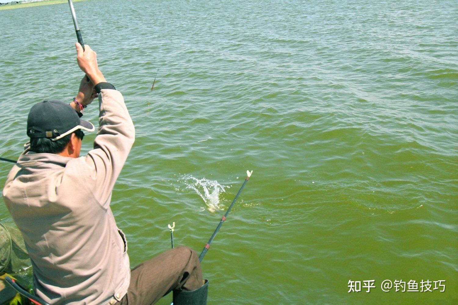 釣魚技巧詳解，如何精準(zhǔn)捕捉心儀的魚獲，釣魚技巧全解析，精準(zhǔn)捕捉心儀魚獲攻略